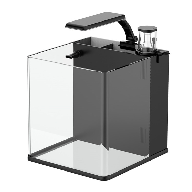 Aquarium Marine Salt - Akuarium Ikan Laut Mini Kaca Bening