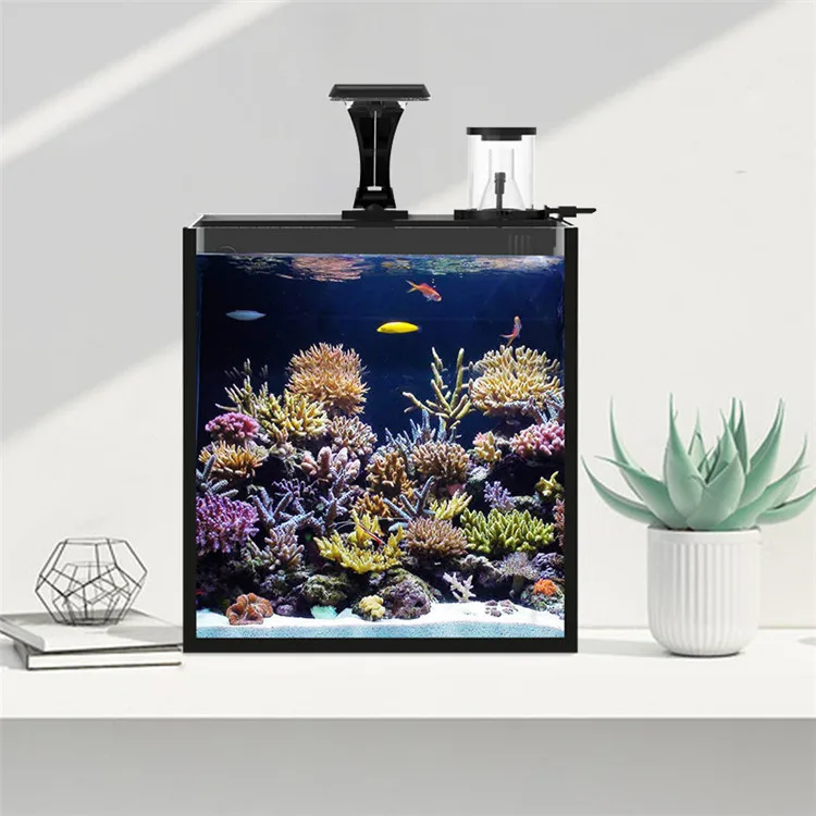 Akuarium Ikan Laut Mini Kaca B - Aquarium Marine Salt ulasan dan harga