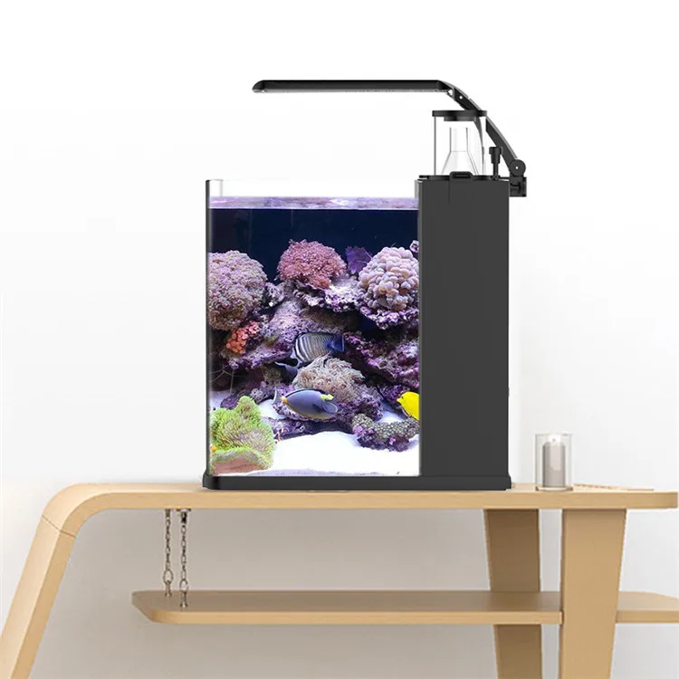 Akuarium Ikan Laut Mini Kaca B - Aquarium Marine Salt ulasan dan harga