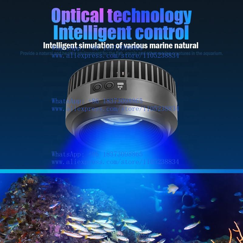 Lampu akuarium laut spektrum p - Aquarium Marine Salt ulasan dan harga
