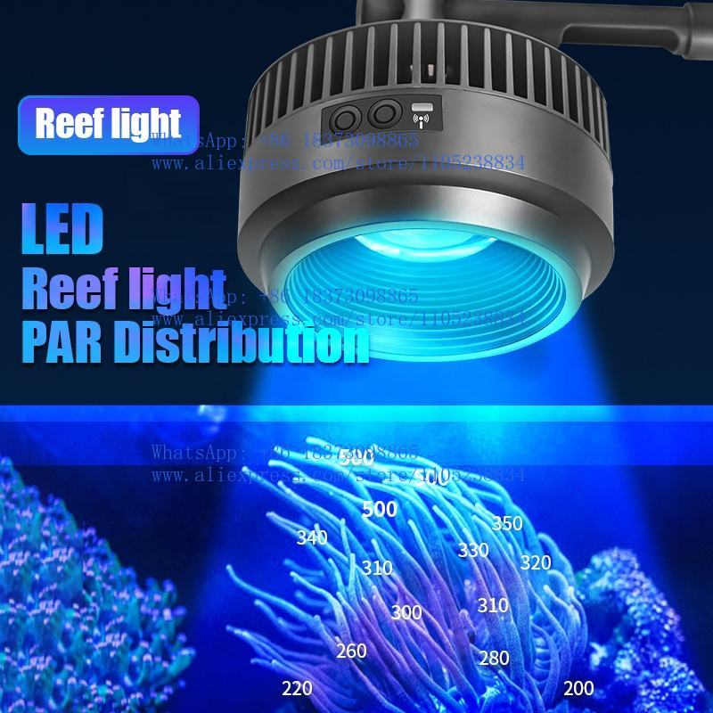 Lampu akuarium laut spektrum p - Aquarium Marine Salt ulasan dan harga