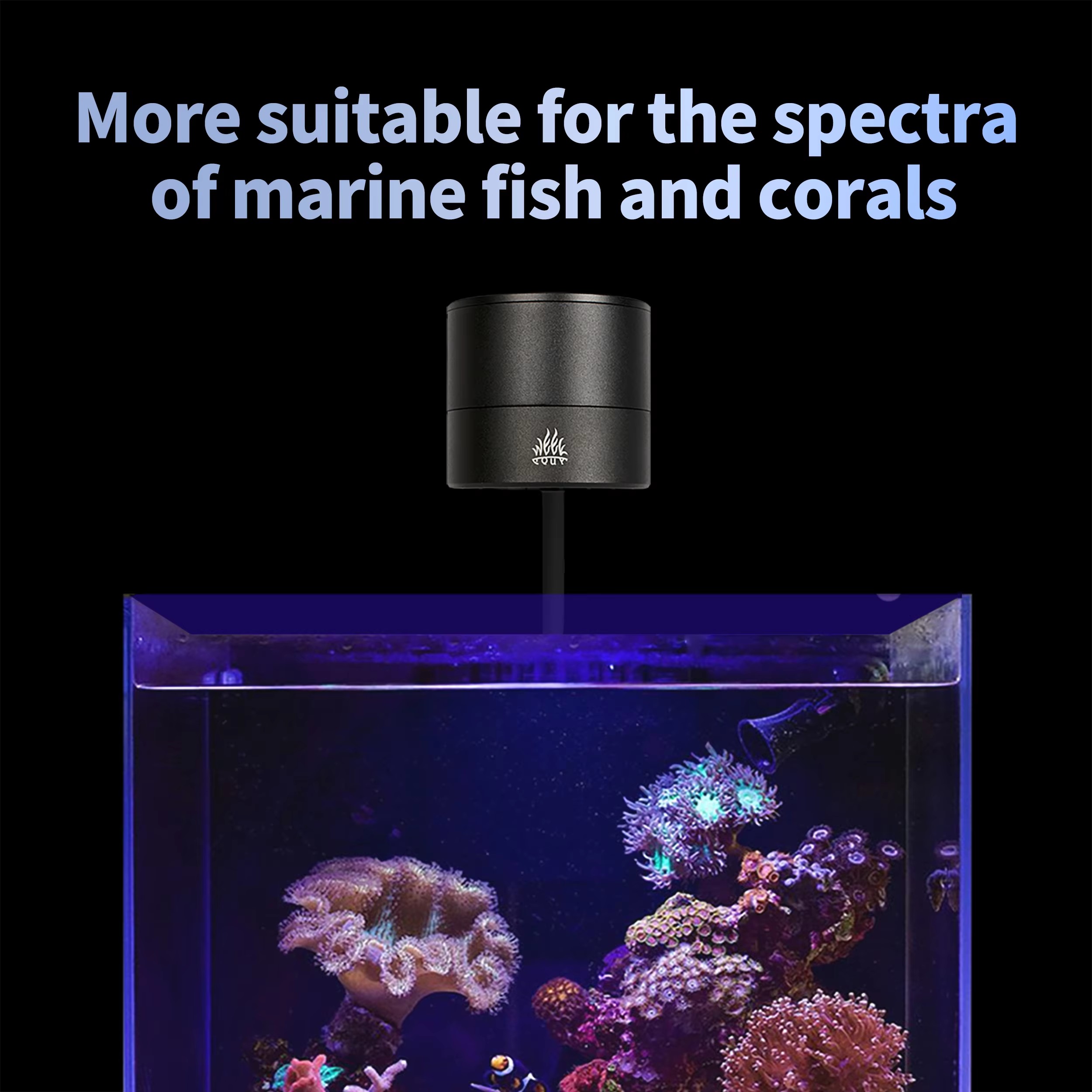 Produsen Lampu Akuarium WEEK A - Aquarium Marine Salt ulasan dan harga