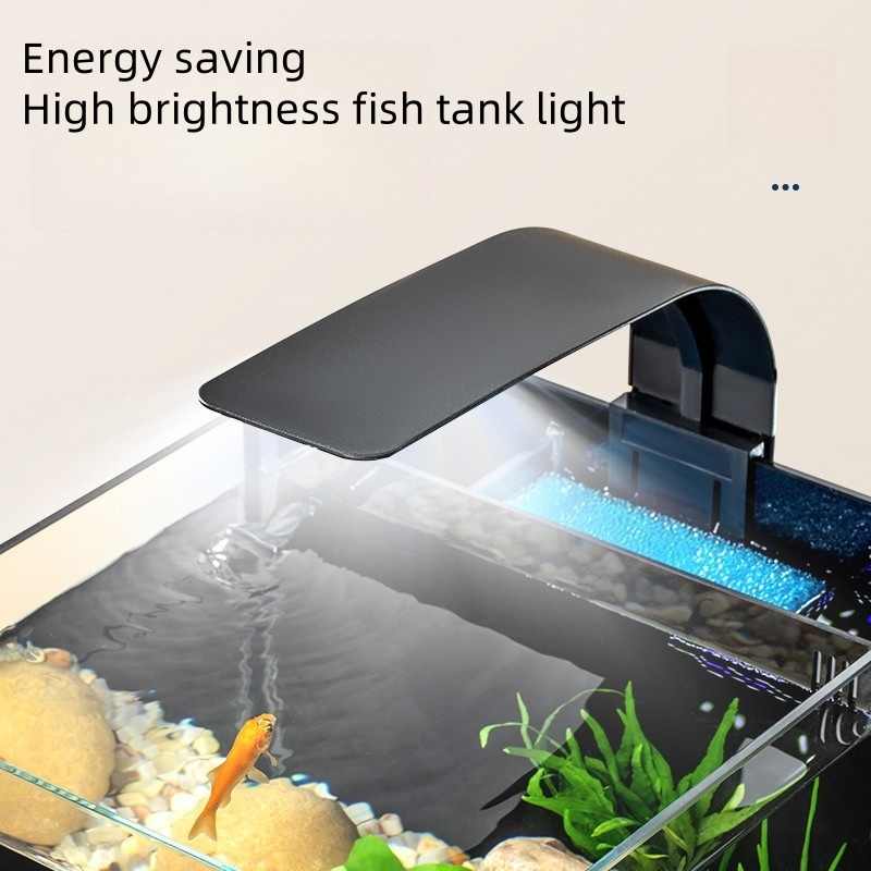 Akuarium Mini Air Asin Mewah K - Aquarium Marine Salt ulasan dan harga