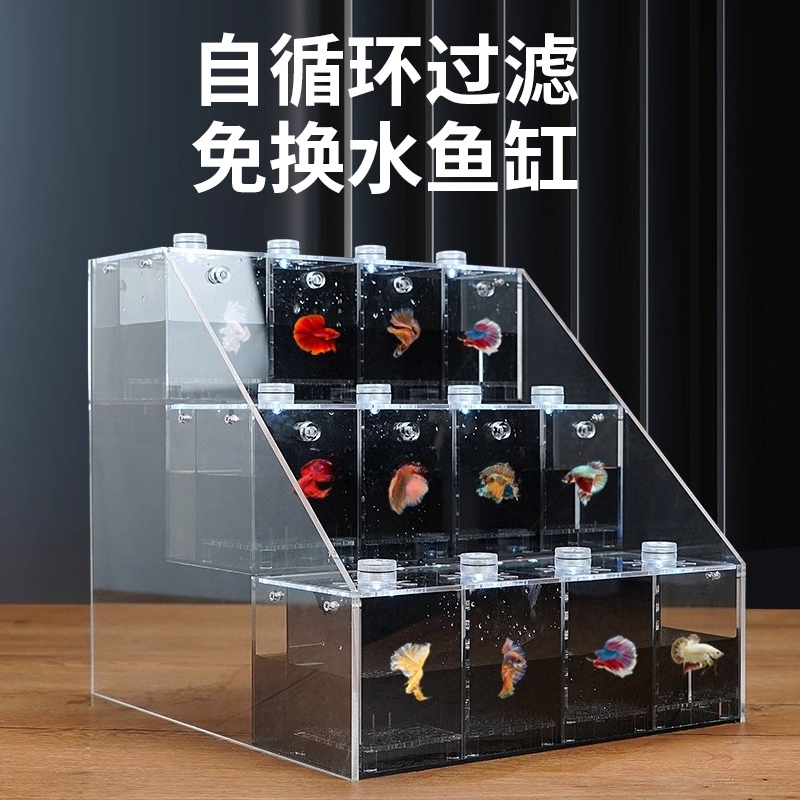 Tangki Douyu transparan untuk  - Aquarium Marine Salt ulasan dan harga