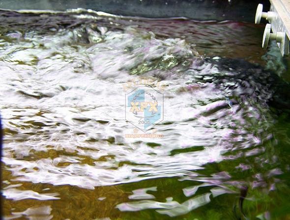 Pompa pembuat gelombang terbar - Aquarium Marine Salt ulasan dan harga