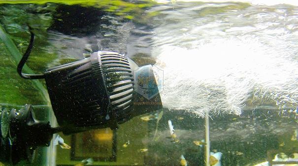 Pompa pembuat gelombang terbar - Aquarium Marine Salt ulasan dan harga