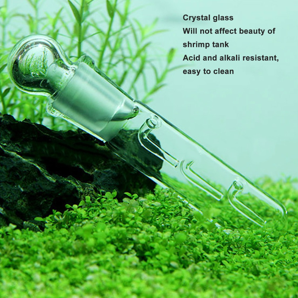 3pcs Perangkap Planaria Transp - Marine Aquarium Glass Cleaner ulasan dan harga
