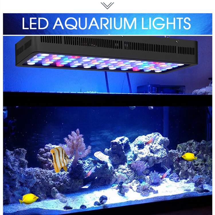 Lampu LED Akuarium Laut Terumb - Marine Aquarium Price ulasan dan harga